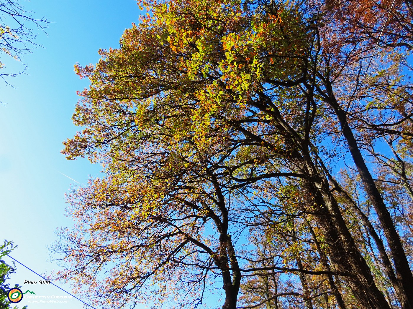 12 Sulla Via dell'Allegrezza da Astino alla Sella della Madonna del Bosco .JPG